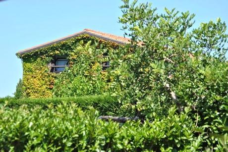 Luoghi del cuore: a casa di Lello e Paola