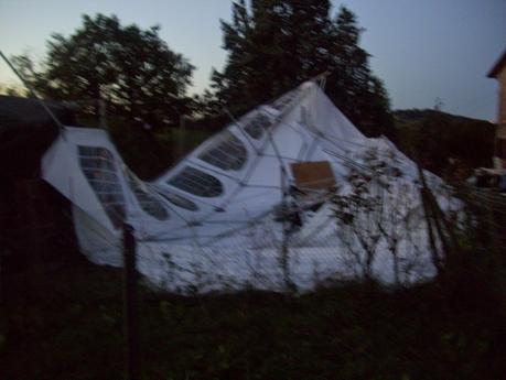 Il gazebo sdraiato a testa in giù contro gli alberi