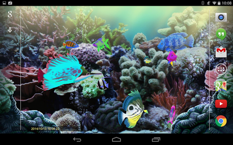  Exotic Aquarium Live Wallpaper   uno splendido acquario animato per Android!