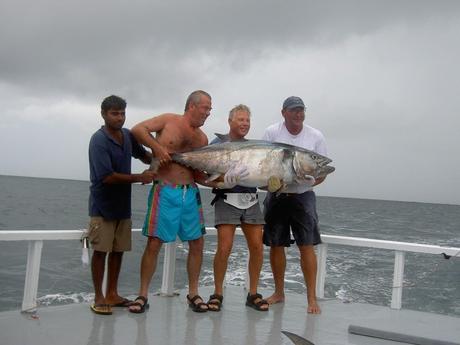 Dogtooth Tuna Maldive