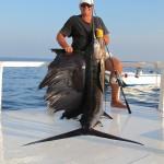 Pesce Vela a vertical Jigging