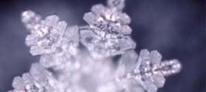 Ricordando Masaru Emoto, pioniere della Memoria dell'acqua