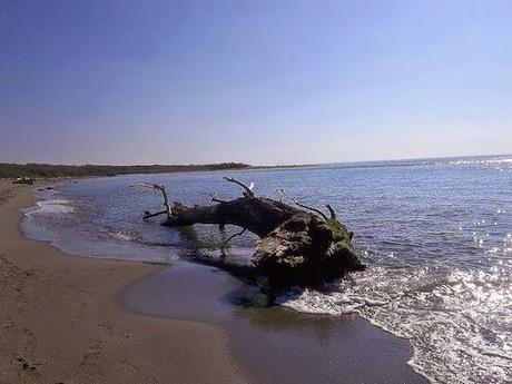 verso il mare...