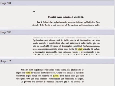 Ricerca bibliografia sulle malattie dell'olivo nella Provincia di Lecce