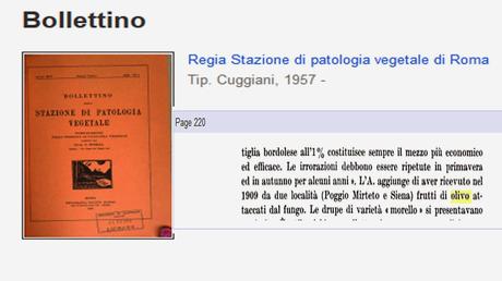 Ricerca bibliografia sulle malattie dell'olivo nella Provincia di Lecce