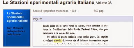 Ricerca bibliografia sulle malattie dell'olivo nella Provincia di Lecce