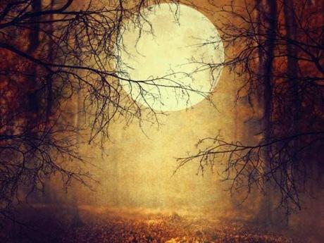 Alla scoperta di Samhain e della Wicca (intervista doppia)