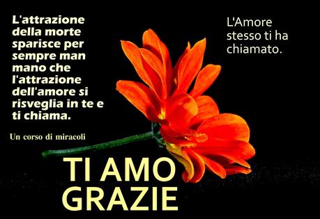 L'attrazione alla morte è ciò che fa che la vita sembra di essere qualcosa di brutto, crudele e tirannico.