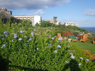 Vacanze a Madeira : L'isola dell'Eterna Primavera!..