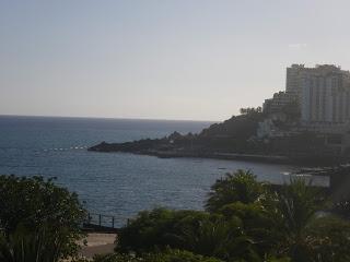 Vacanze a Madeira : L'isola dell'Eterna Primavera!..