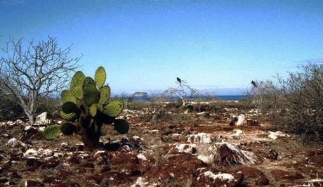 Altre Mete Vi Porta : Alle Galapagos