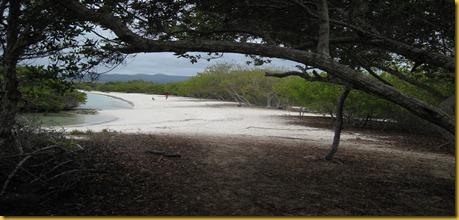 Foto Galapagos Spiaggia Santa Cruz