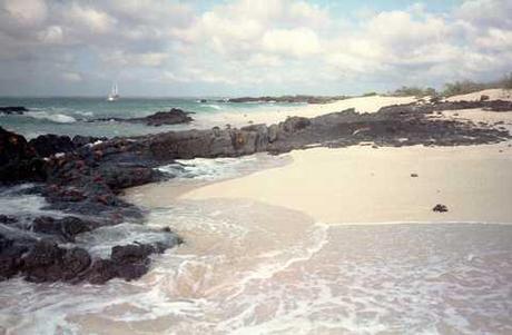 Altre Mete Vi Porta : Alle Galapagos