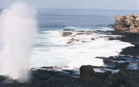 Altre Mete Vi Porta : Alle Galapagos