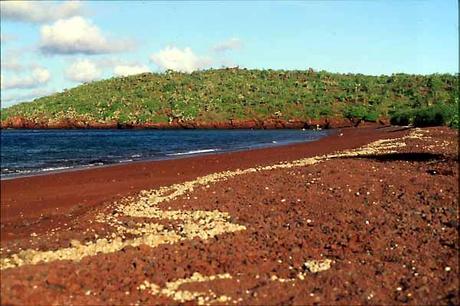 Altre Mete Vi Porta : Alle Galapagos