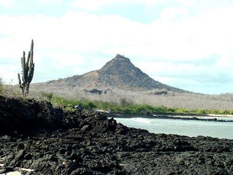 Altre Mete Vi Porta : Alle Galapagos