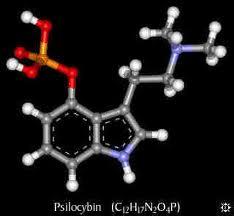 LA MOLECOLA CHIMICA DELLA PSILOCIBINA