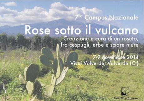 annotazioni creative #novembre 7° campus cartolina