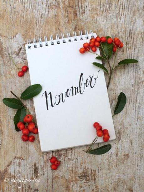 annotazioni creative #novembre novembre pyracantha