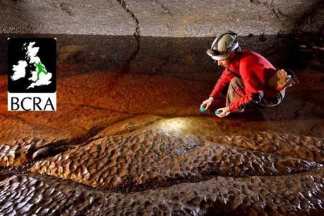 brca BCRA su Facebook