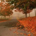 autunno_358