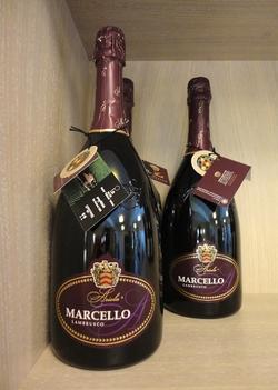 Bottiglie di Lambrusco Marcello