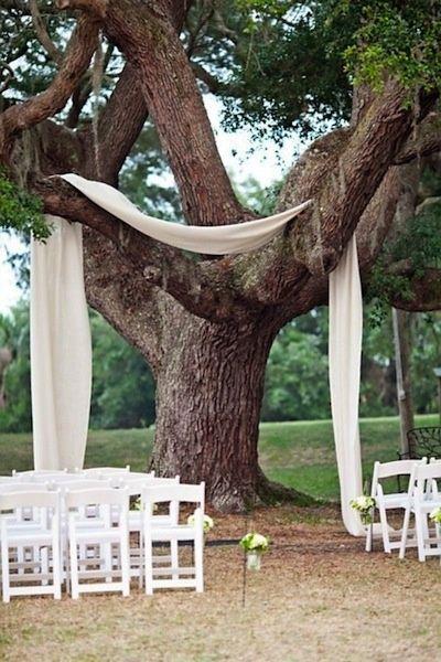 L’albero: 8 idee pratiche per allestire un matrimonio a tema