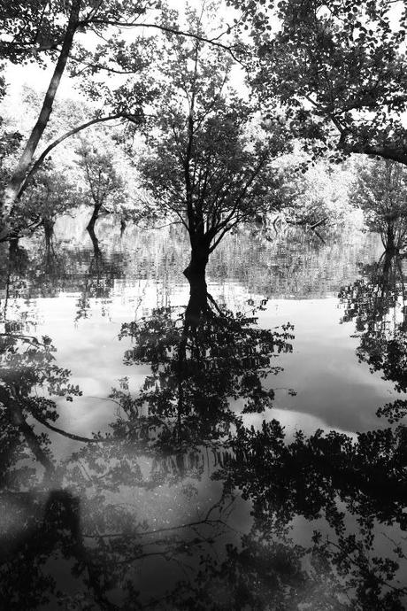 Viaggiare. Viaggiare.