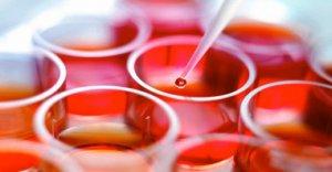 Stamina: stop definitivo alla sperimentazione stamina