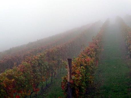 Langhe: un sogno d'autunno