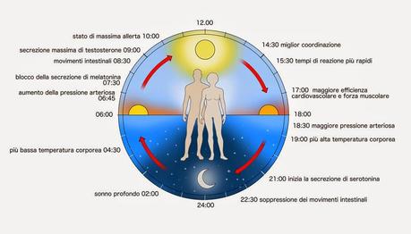 LAVORO PER TURNI - APPROFONDIMENTO