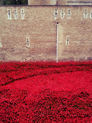 Tower of London remembers the First World War 1914-2014