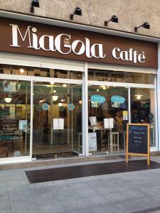 Miagola, il cat cafè di Torino