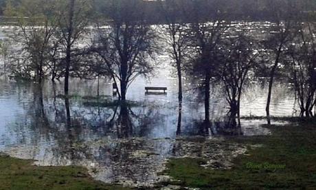 La piena del Ticino 4