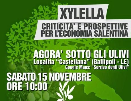 DOMANI A GALLIPOLI CONVEGNO SULLA XYLELLA FASTIDIOSA,