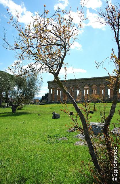 Paestum: I Templi