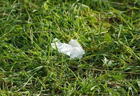 FOTO: Il sentiero degli eremi di Pulsano ridotto a discarica