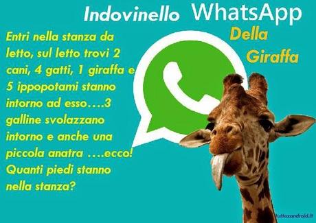 Whatsapp: Indovinello della giraffa, ecco la soluzione per non cambiare la vostra foto