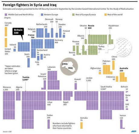 I foreign fighters in Siria e Iraq