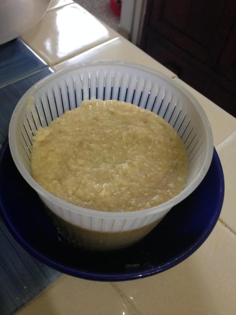 Ricotta Felice agli Anacardi IMG_0097