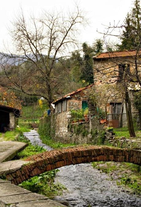 La Garfagnana ed il suo Farro: un binomio inossidabile