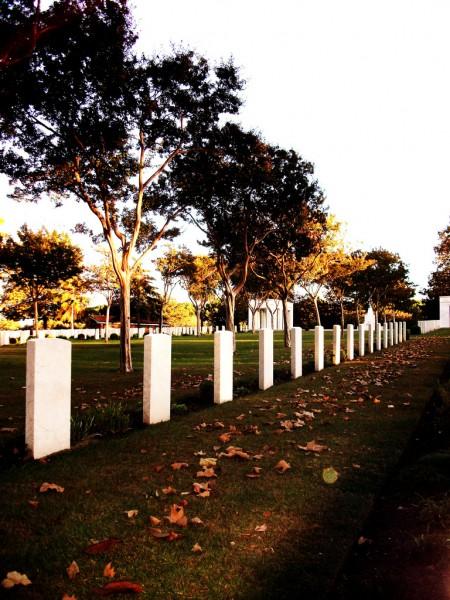 Miano, suggestioni al Cimitero di Guerra Inglese Cimitero di Guerra Inglese.