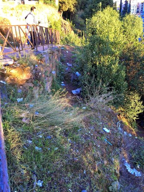 Foto spaventose. Ma se il Colosseo è il monumento più importante del mondo, perché il verde pubblico che ci sta attorno è ridotto in questa maniera? Foto spaventose. Ma se il Colosseo è il monumento più importante del mondo, perché il verde pubblico che ci sta attorno è ridotto in questa maniera?