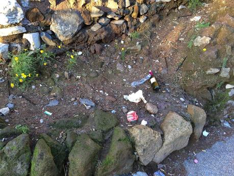Foto spaventose. Ma se il Colosseo è il monumento più importante del mondo, perché il verde pubblico che ci sta attorno è ridotto in questa maniera? Foto spaventose. Ma se il Colosseo è il monumento più importante del mondo, perché il verde pubblico che ci sta attorno è ridotto in questa maniera?