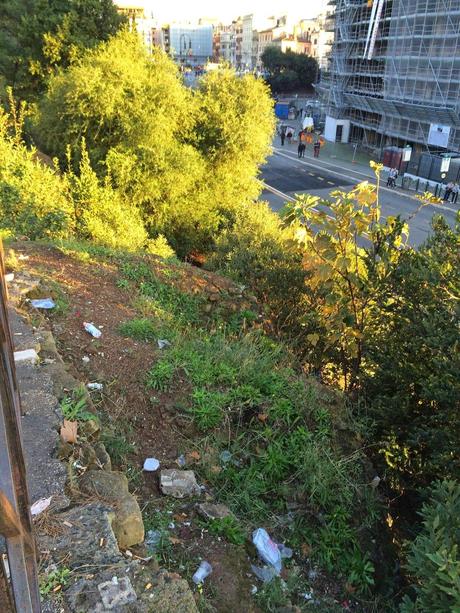 Foto spaventose. Ma se il Colosseo è il monumento più importante del mondo, perché il verde pubblico che ci sta attorno è ridotto in questa maniera? Foto spaventose. Ma se il Colosseo è il monumento più importante del mondo, perché il verde pubblico che ci sta attorno è ridotto in questa maniera?