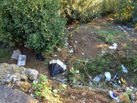 Foto spaventose. Ma se il Colosseo è il monumento più importante del mondo, perché il verde pubblico che ci sta attorno è ridotto in questa maniera? Foto spaventose. Ma se il Colosseo è il monumento più importante del mondo, perché il verde pubblico che ci sta attorno è ridotto in questa maniera?
