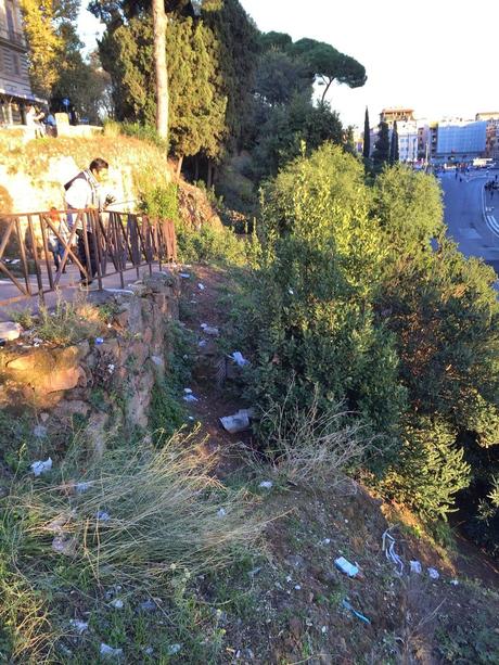 Foto spaventose. Ma se il Colosseo è il monumento più importante del mondo, perché il verde pubblico che ci sta attorno è ridotto in questa maniera? Foto spaventose. Ma se il Colosseo è il monumento più importante del mondo, perché il verde pubblico che ci sta attorno è ridotto in questa maniera?