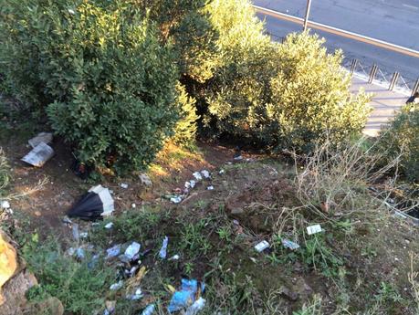 Foto spaventose. Ma se il Colosseo è il monumento più importante del mondo, perché il verde pubblico che ci sta attorno è ridotto in questa maniera? Foto spaventose. Ma se il Colosseo è il monumento più importante del mondo, perché il verde pubblico che ci sta attorno è ridotto in questa maniera?