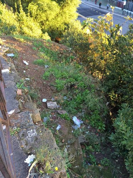 Foto spaventose. Ma se il Colosseo è il monumento più importante del mondo, perché il verde pubblico che ci sta attorno è ridotto in questa maniera? Foto spaventose. Ma se il Colosseo è il monumento più importante del mondo, perché il verde pubblico che ci sta attorno è ridotto in questa maniera?