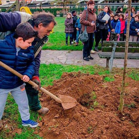 giornata degli alberi